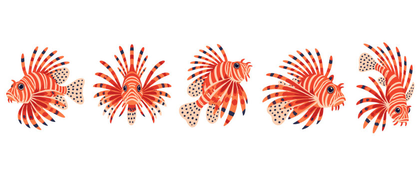 Set of colorful lionfish with striped bodies and fan-shaped fins