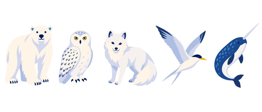 Arctic animal collection with polar bear owl fox and narwhal