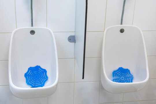Spider Web Urinals in Restroom