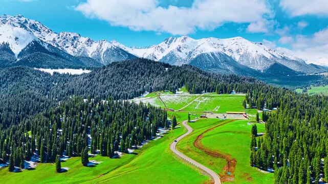 High angle view reveals snow capped mountain ranges standing majestic over lush green pine forests and rolling alpine meadows.