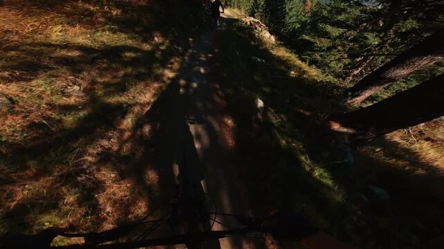 First-person POV footage of a mountain biker speeding downhill through a forest trail while following another cyclist, capturing fast movement, natural terrain and immersive outdoor action.