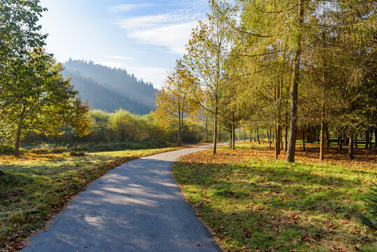 Winding path among autumn trees in Sromowce Nizne, Poland