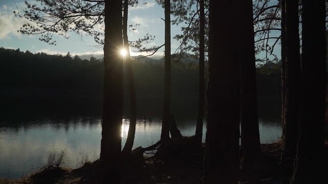 Evening mountain landscape, the shore of a calm river, the bright rays of the setting sun breaking through the trees. Slow camera movement.