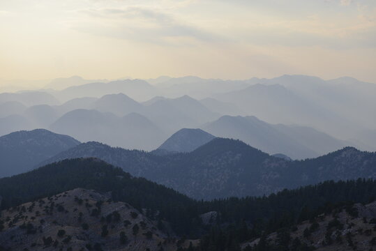 Mountain Forest and Layered Blue Ridges Beneath a Soft Bright Sky