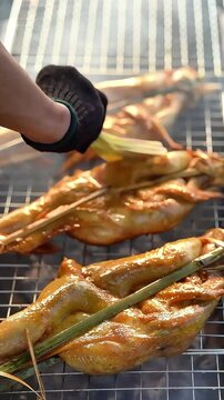 Slow motion of authentic Thai grilled chicken (Kai Yang) sizzling on charcoal grill.
