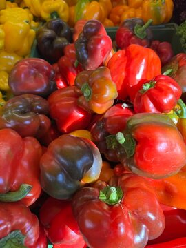 Paprika