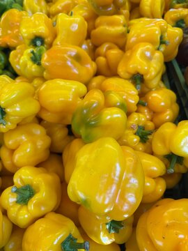 Paprika