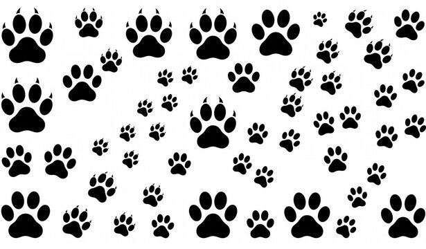 Dog Paw Print Silhouette Bundle, Black Animal Footprint Collection Vector Illustration