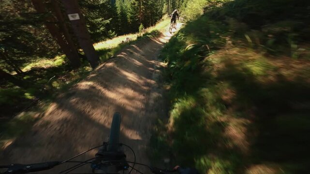 First-person POV footage of a mountain biker speeding downhill through a forest trail while following another cyclist, capturing fast movement, natural terrain and immersive outdoor action.