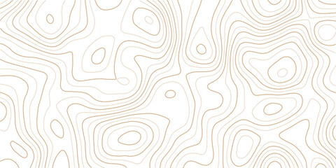 Obraz premium Abstract topographic map contour lines pattern background in brown with geographical map elevation lines topography