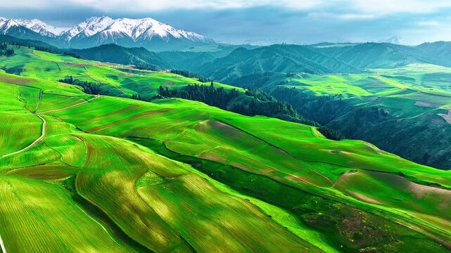 Rolling green hills of Jiangbulake stretch toward snow-covered mountains under a dramatic blue sky in high angle view.
