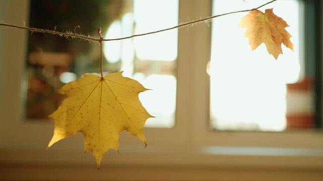 Colorful red and yellow maple leaves hanging on a rustic twine string create a beautiful garland decoration in front of a bright window, with golden sunlight creating lens flare