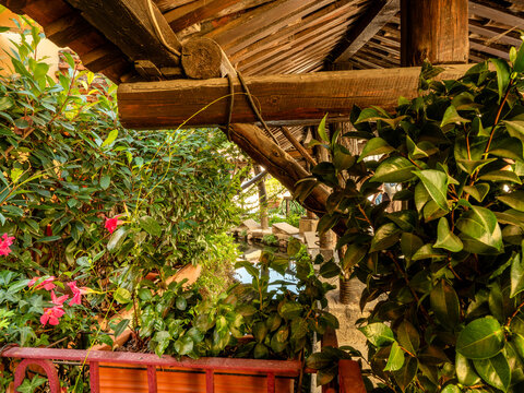 A tranquil outdoor scene featuring a weathered timber roof frame extending above a narrow water feature surrounded by vibrant potted plants and shrubs