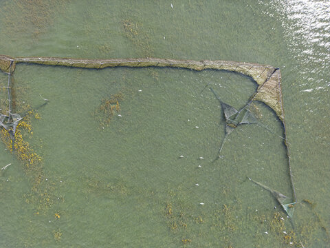 Aerial view of traditional fishing structures in Shkodra Lake with birds flying over the clear water and aquatic vegetation in Shkoder, Shkoder County, Albania.