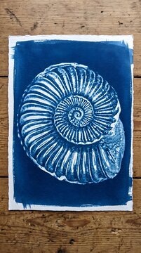 Ancient Ammonite Fossil Shell Botanical Cyanotype Art Print