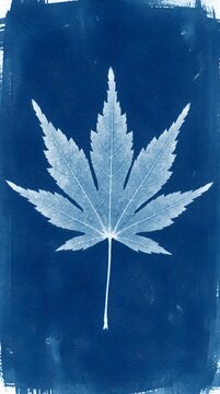 Large Maple Leaf Botanical Cyanotype Art Print on Deep Blue