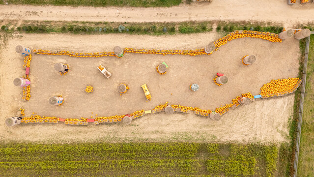 Aerial view of a pumpkin patch featuring scattered orange pumpkins, hay bales, and wooden structures arranged in a field in Gdansk, Poland.