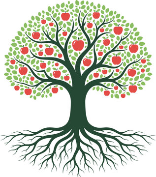 Green apple tree vector illustration with ripe red fruits full leaves and underground root system