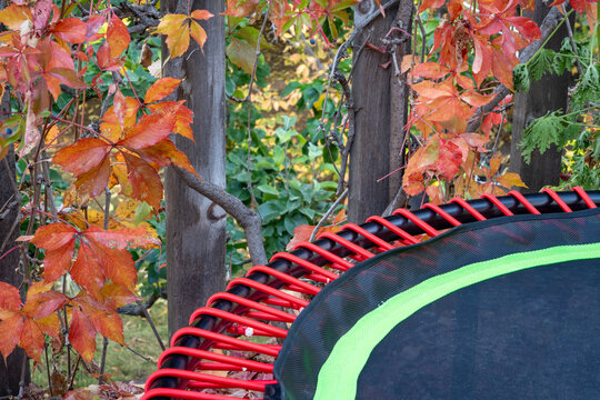 detail of mini trampoline for fitness exercising and rebounding in a backyard, fall scenery