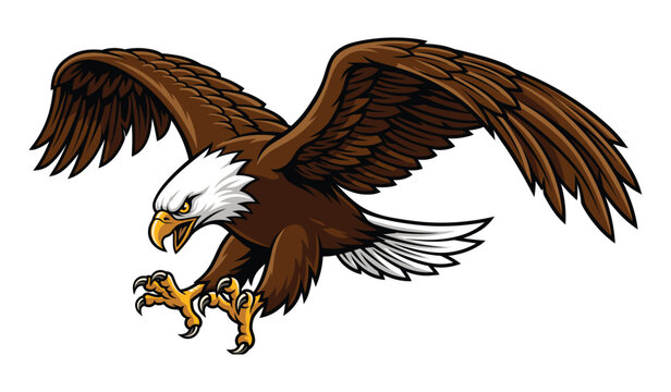 Bald eagle swooping down with talons extended, vector illustration of a powerful bird of prey isolated on a white background