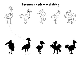 Fototapeta premium Savanna black and white shadow matching activity with wild birds. Safari line puzzle with ostrich, crowned crane, flamingo. African savannah find correct silhouette coloring page, game