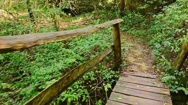 The camera moves along a narrow dirt trail leading to a weathered timber bridge surrounded by dense woodland vegetation and natural forest floor