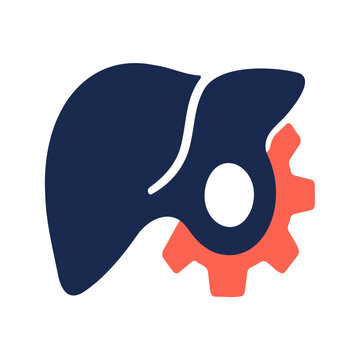 Liver processing icon, liver shape merging into mechanical gear, detox function vector