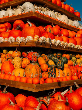 Pyramid of fresh pumpkins and gourds on a clear autumn day