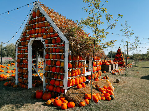 Decorative pumpkin house display on a bright sunny day at a farm