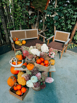Rustic wooden furniture arranged with fresh pumpkins and dried