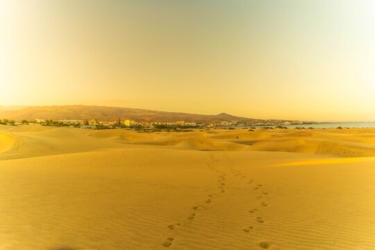 Shot of golden Maspalomas dunes near Playa Ingles at sunset on Gran Canaria
