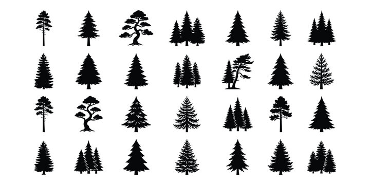 Set of coniferous tree silhouettes