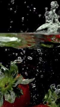 strawberries fruit dropped into water shot in super slow motion in vertical