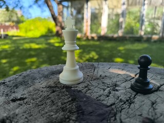 Two kings confront each other, a metaphor for tense peace negotiations and diplomacy. © nicolas