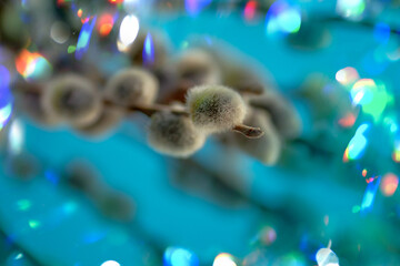 Simple botanical still life presents willow branches gathered into bouquet. Clear composition emphasizes balance, negative space, and natural form © lesichkadesign