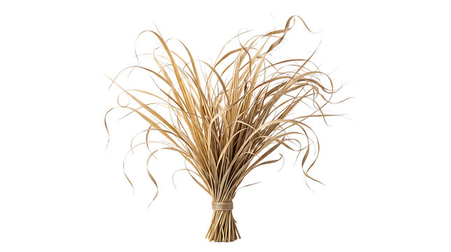 Dry decorative twigs branch bundle for home decor