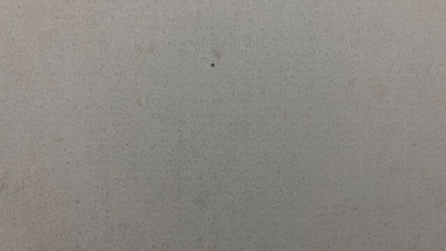 Smooth gray matte surface with tiny dark speckles texture