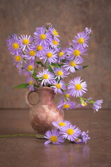 Purple prairie aster in vase  Aster Amellus  © ramona georgescu
