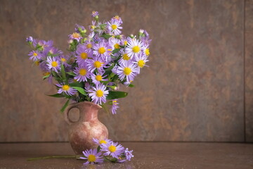 Purple prairie aster in vase  Aster Amellus  © ramona georgescu