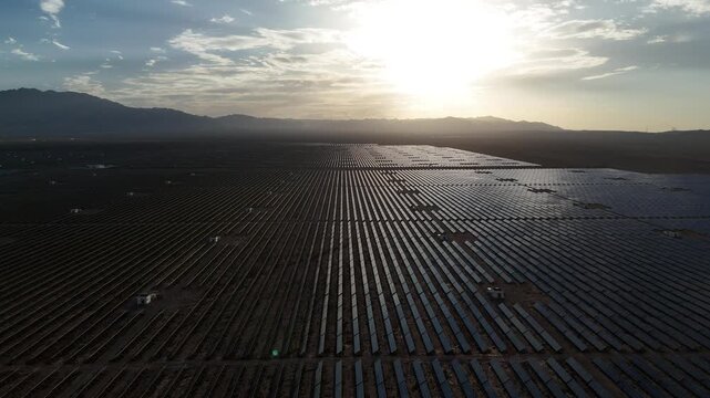 rows of solar panels in the field at sunset