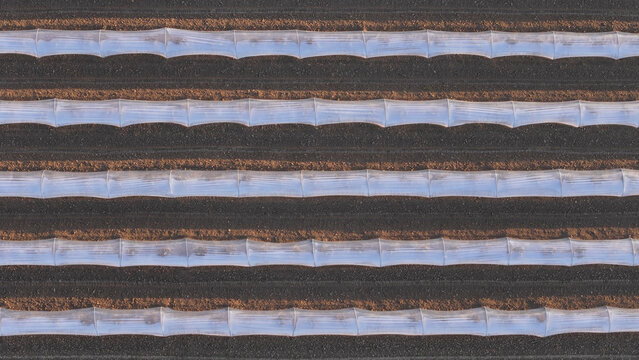 Aerial view of rows of white plastic polytunnels covering fruit crops in a cultivated field in the Po Valley, Fiorenzuola d'Arda, Emilia-Romagna, Italy.