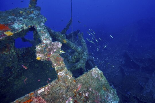 Detailed view of a shipwreck covered with sea sponges in the Mediterranean near Hy&egrave;res, dive site Wreck Michel C, Giens Peninsula, Porquerolles, Provence, C&ocirc;te d'Azur, Mediterranean, France