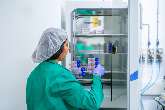 Laboratory technician placing biological samples into an incubator