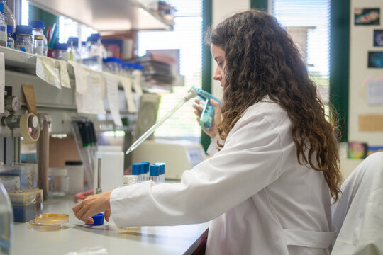 Scientist using pipette with petri dishes in laboratory at Seville