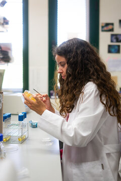 Hispanic woman scientist examining sample