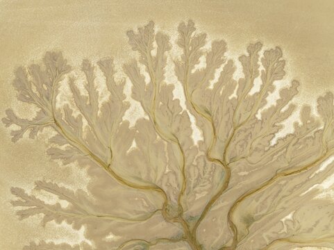 Abstract patterns at low tide in the marshland of the Nature Reserve La Bre&ntilde;a y Marismas del Barbate. Aerial view. Drone shot. C&aacute;diz province, Andalusia, Spain