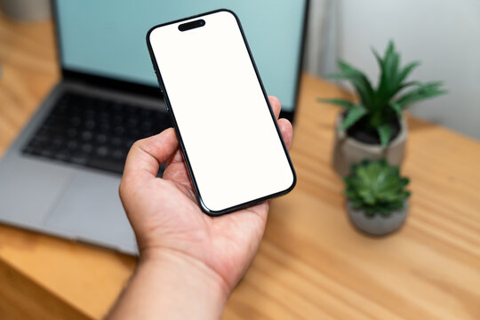 Smartphone held in hand on wooden desk with laptop and succulent