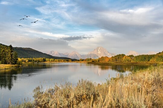 Mount Moran reflected in Snake River, morning mood at Oxbow Bend, autumn trees and Grand Teton Range, Grand Teton National Park, Wyoming, USA