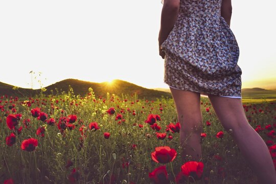 Sexy woman in flower dress standing in poppy field outdoors look to romantic sunset with blank space clear sky background. Marneuli. Georgia