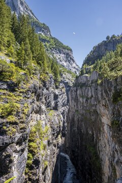 Gorge, Wei&szlig;e L&uuml;tschine, glacier Grindelwald-Fieschergletscher and summit of Walcherhorn, Bernese Oberland, Switzerland